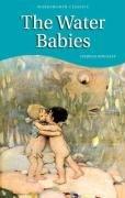 The water-babies: a fairy tale for a land-baby