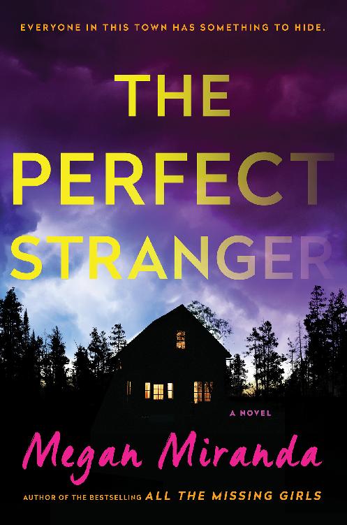 The Perfect Stranger: A Novel