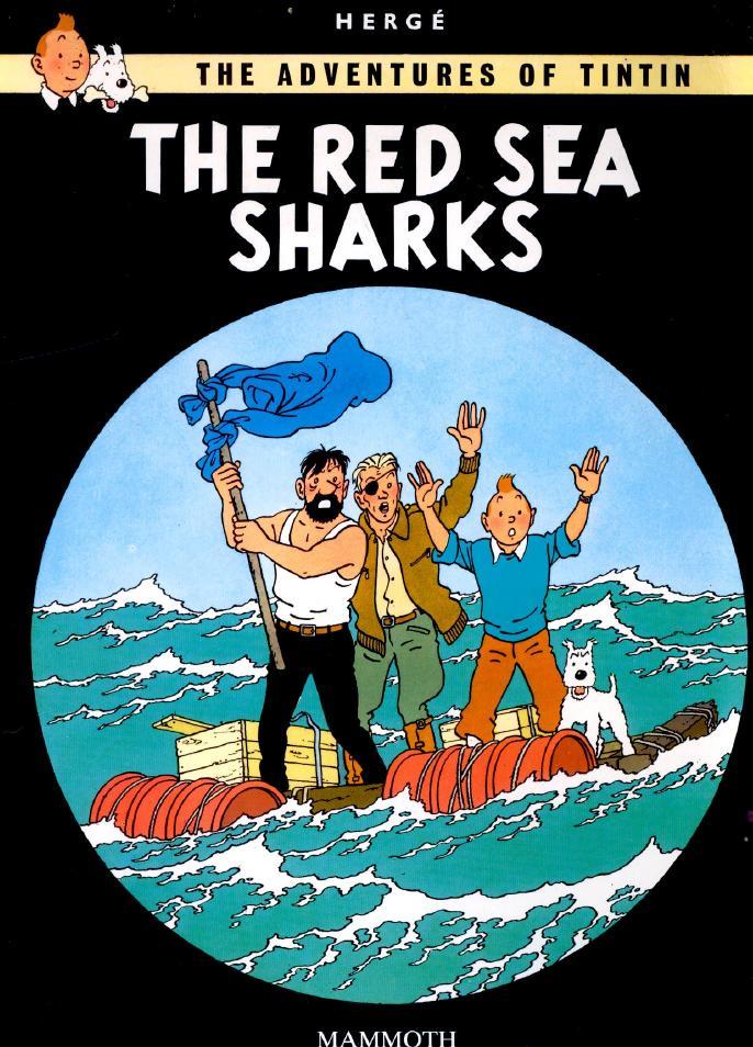 Red Sea Sharks